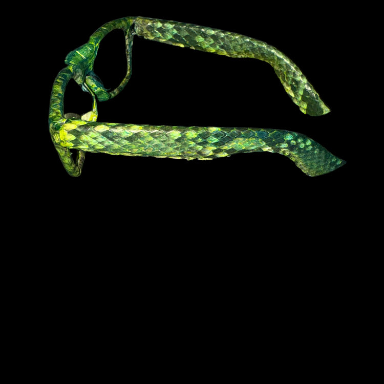 Python Neon