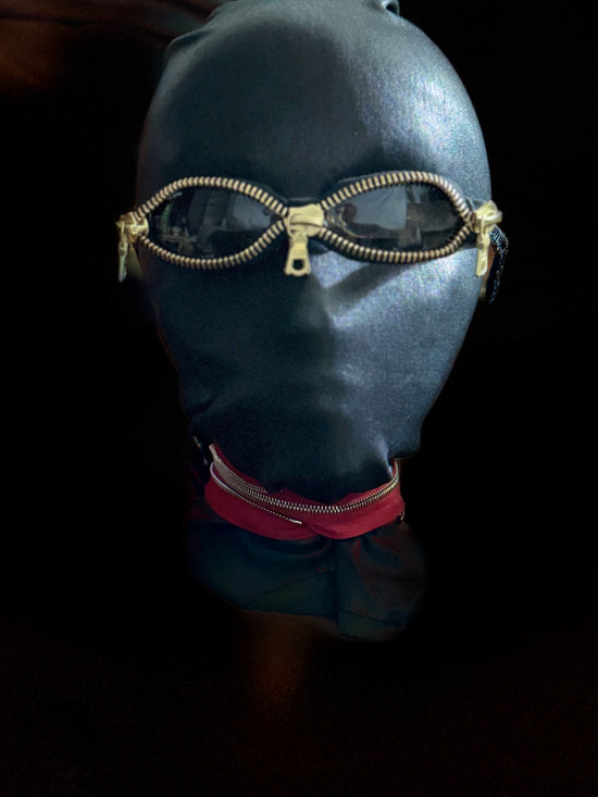 Cat eye catching custom Ray Bans