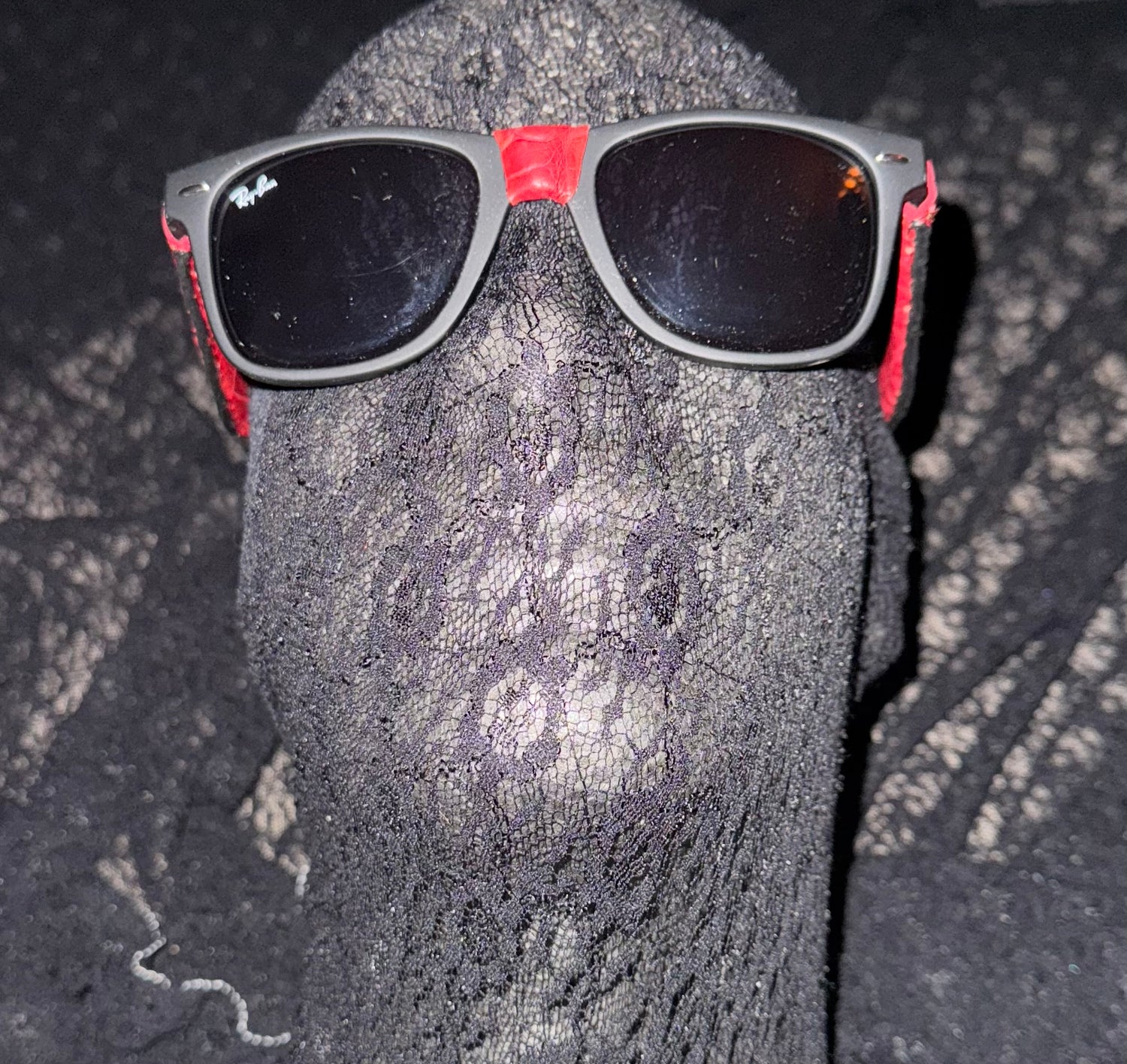 Alligator Ray Ban Wayfarer