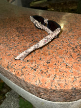 Python Ray Ban Wayfarer