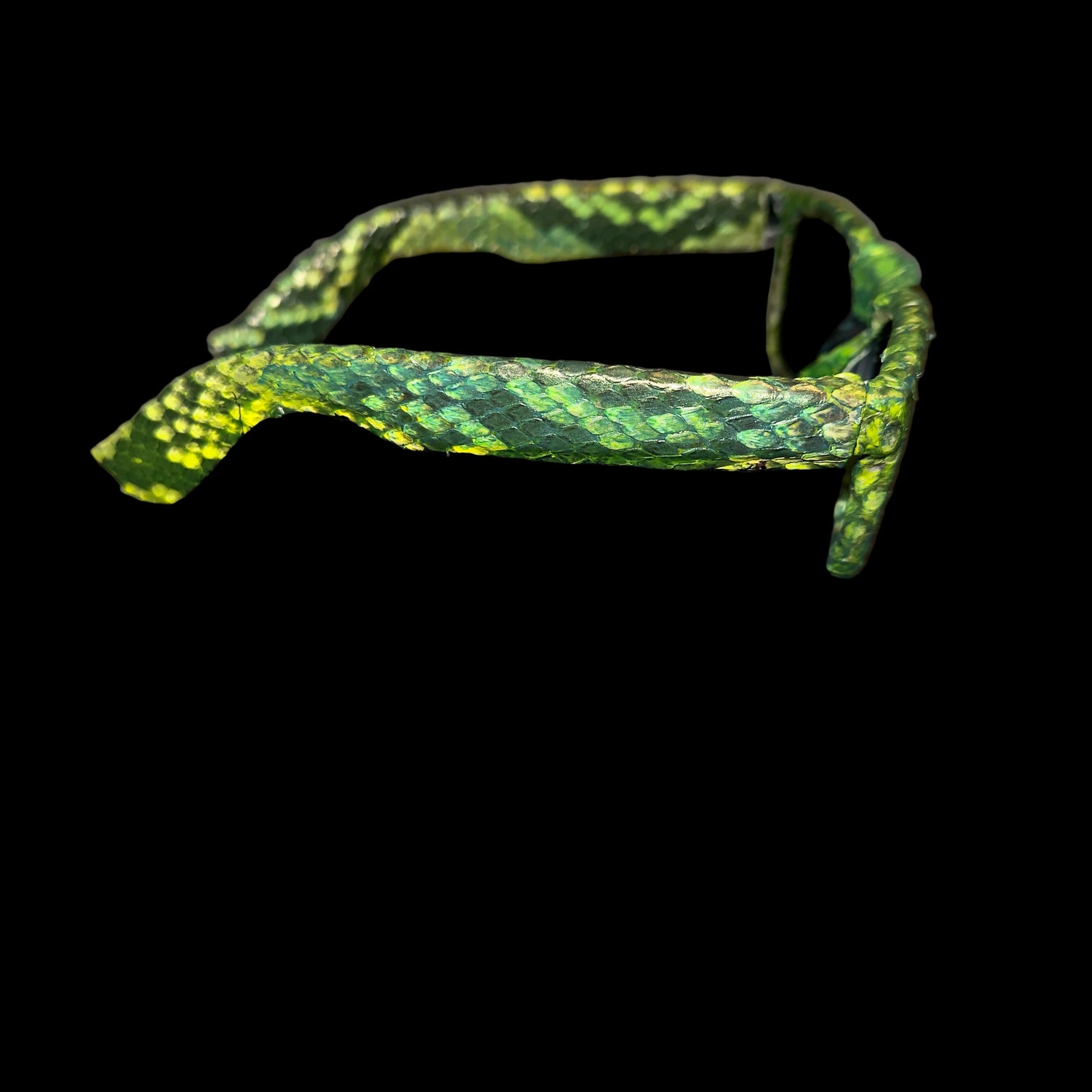 Python Neon