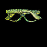 Python Neon