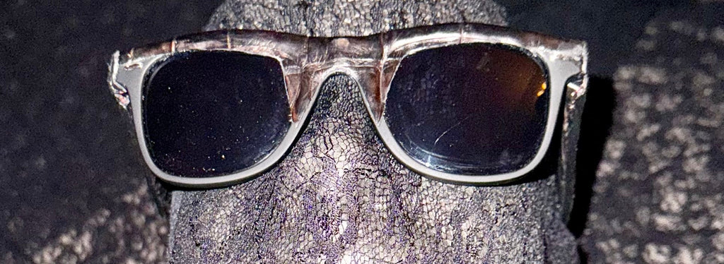 Alligator Ray Ban Wayfarer