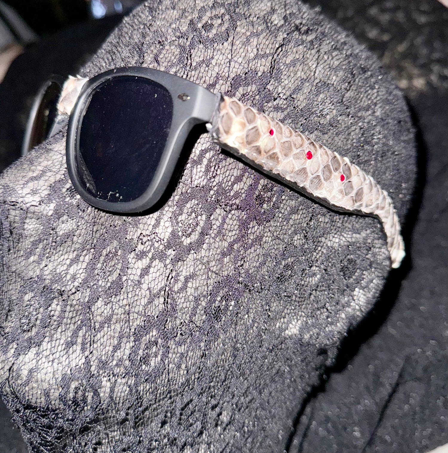 Python Ray Ban Wayfarer