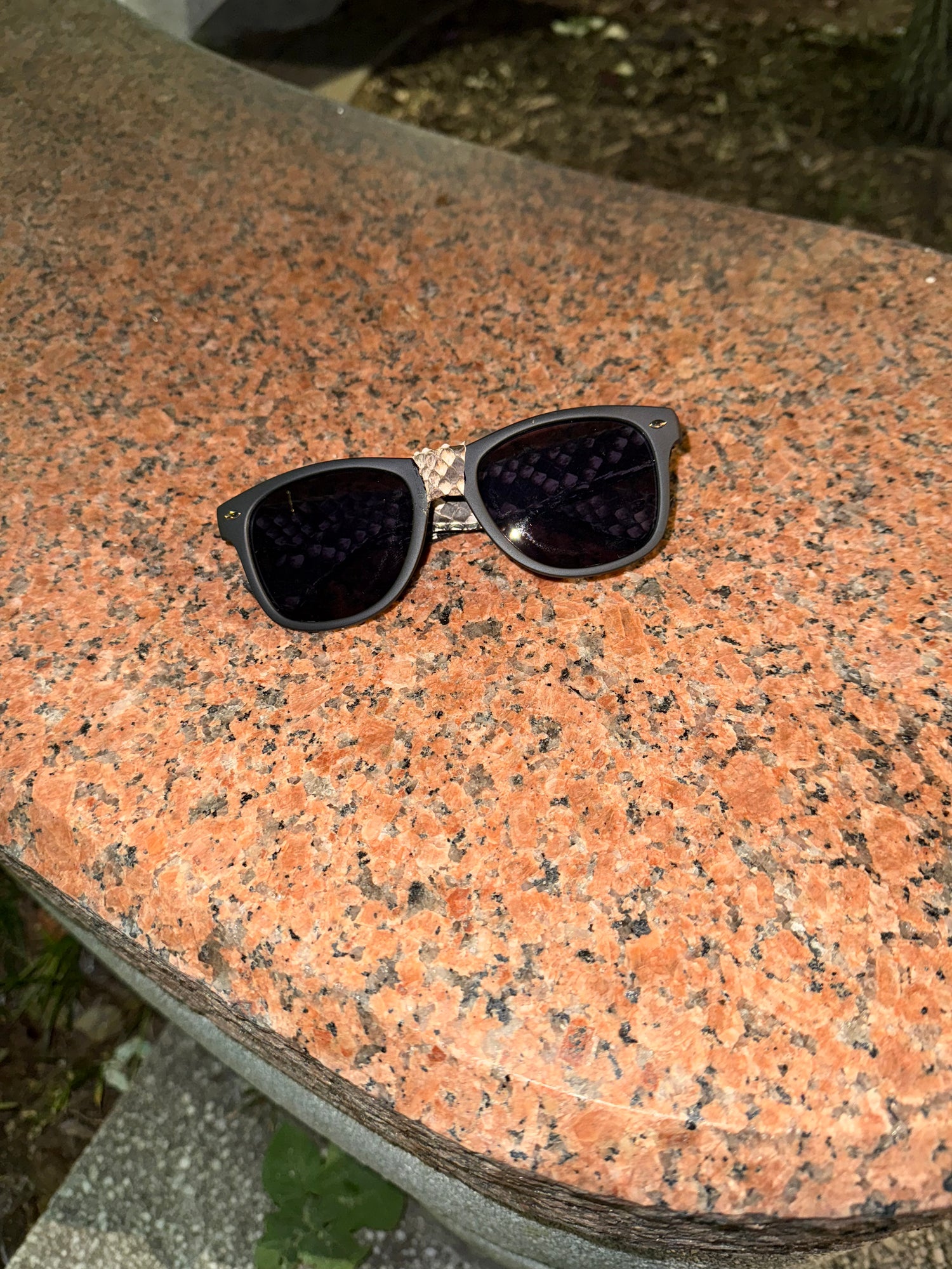 Python Ray Ban Wayfarer