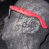 Alligator Ray Ban Wayfarer