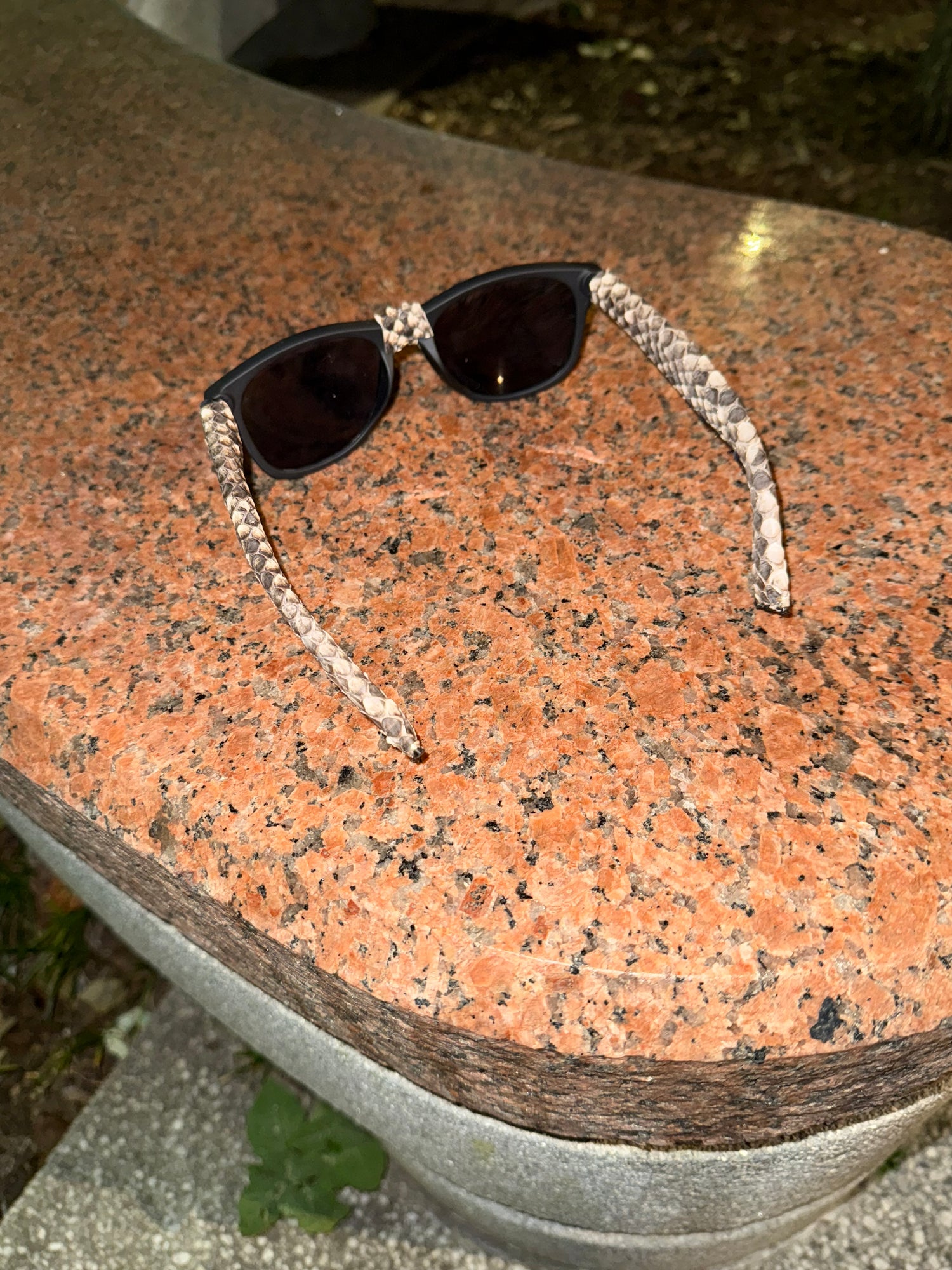 Python Ray Ban Wayfarer